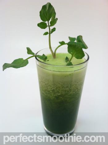 Lose Weight With Green Smoothies